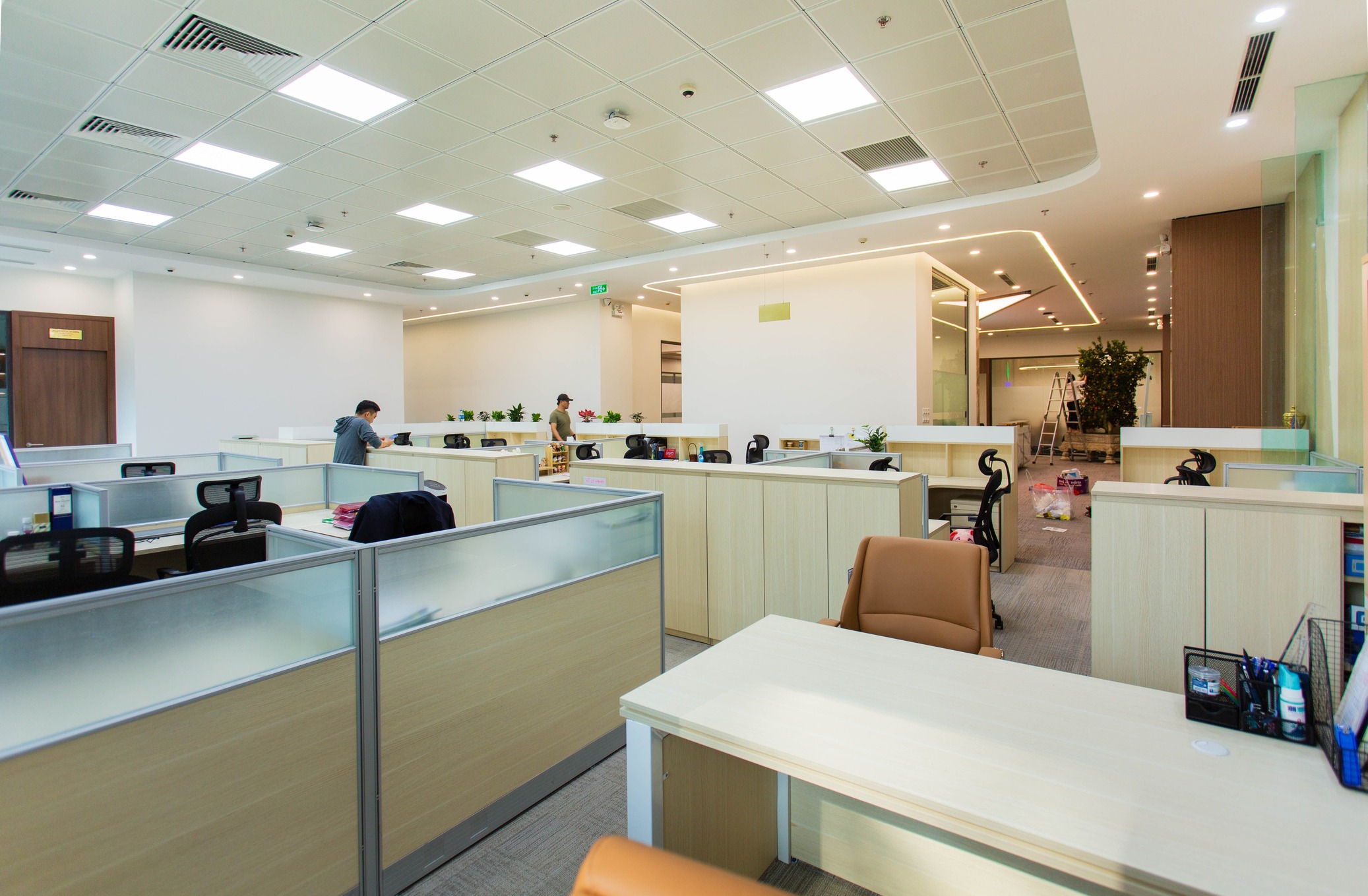 Office and commercial cleaning
